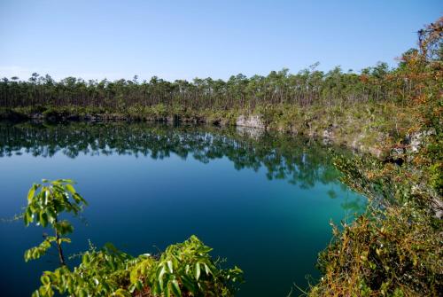 a lake in the middle of a forest at Treasures of Andros in Love Hill