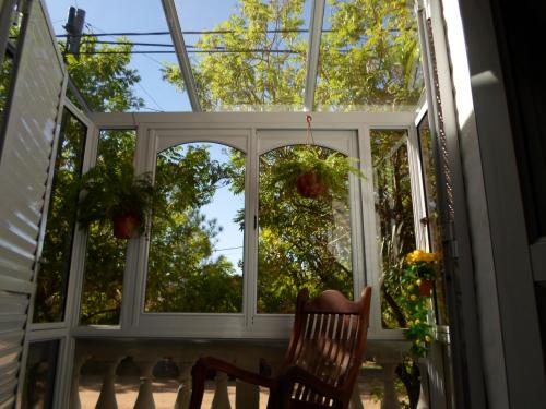 a room with a window and a chair and trees at La Casona de Susana in Colón