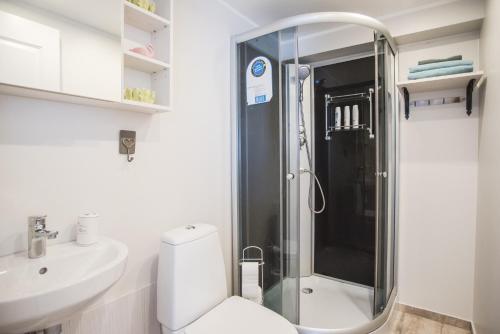 a bathroom with a shower and a toilet and a sink at Lapmanni apartments in Haapsalu