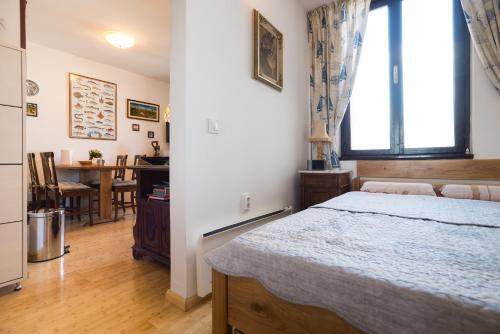 Apartment Dubravka III