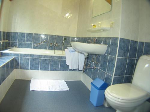a bathroom with a sink and a toilet and a tub at Hotel Aux Massotais in Petites Tailles