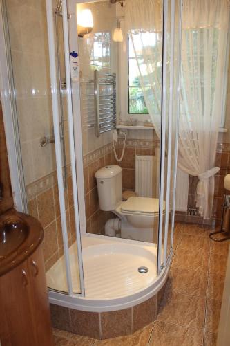 A bathroom at Dom Pod Brzozami