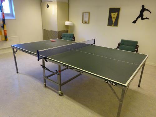 Kemudahan pingpong di Ekbackens Vandrarhem atau berdekatan