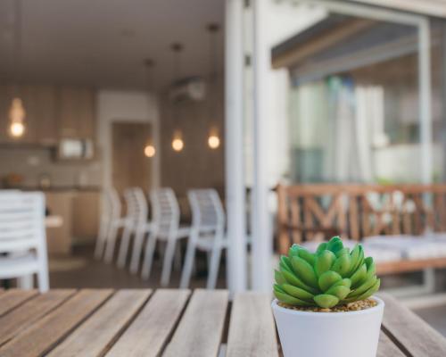 a small green plant sitting on a wooden table at City Apartment One in Mostar