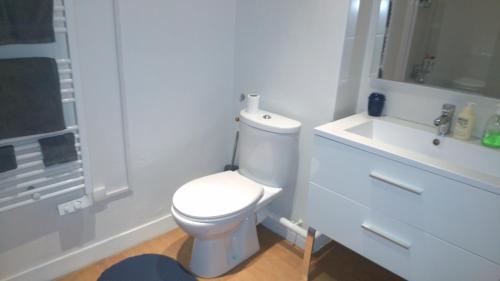 a white bathroom with a toilet and a sink at Studio in Marseille