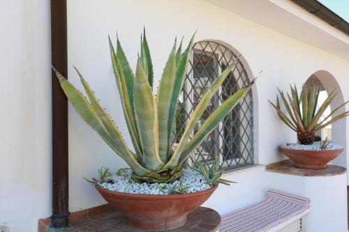 Gallery image of L'ippocampo Guest House in Sabaudia