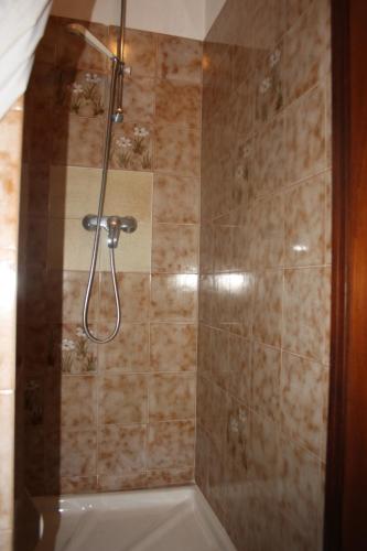 a shower with a shower head in a bathroom at Albergo Diffuso Faller in Faller