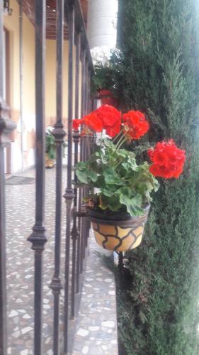 Gallery image of Hotel Posada El Camino in Chignahuapan
