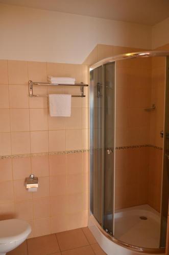 a bathroom with a shower and a toilet and a sink at Gościniec Ustrzycki in Ustrzyki Dolne
