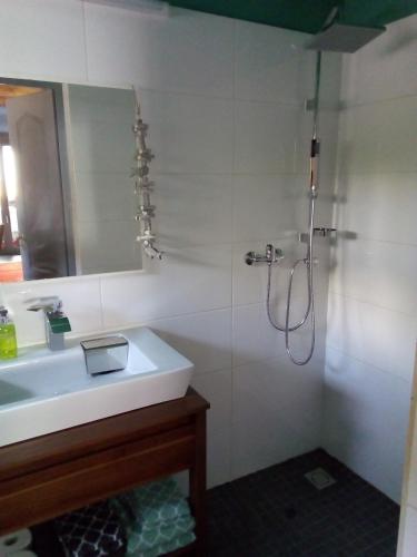 a bathroom with a sink and a shower at Bootshaus in Eisenstadt