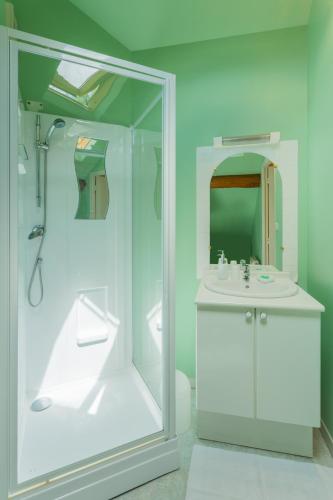 y baño con ducha y lavamanos. en Chambres d'hôtes - Domaine Gigou, en La Chartre-sur-le-Loir
