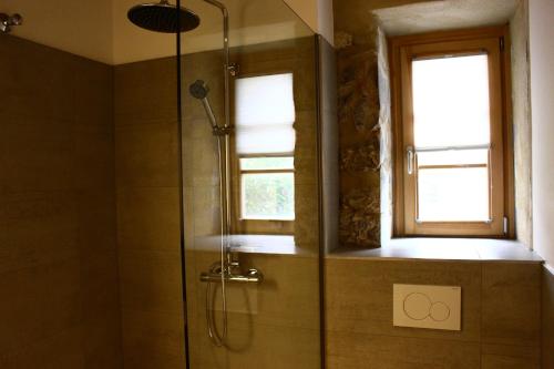 a shower with a glass door and a window at DIE KRONE - Hotel Garni in Kirchzarten