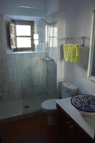 uma casa de banho com um chuveiro, um WC e um lavatório. em Casa Viñas de Vera em Restábal