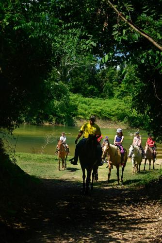 a group of people riding horses on a trail at Banana Bank Lodge & Jungle Horseback Adventures in Belmopan