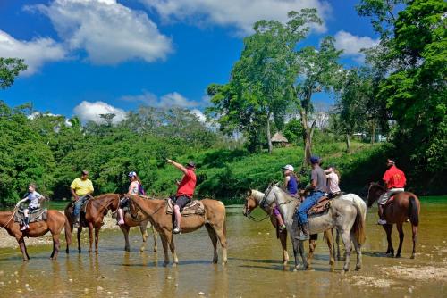 a group of people riding horses in the water at Banana Bank Lodge & Jungle Horseback Adventures in Belmopan