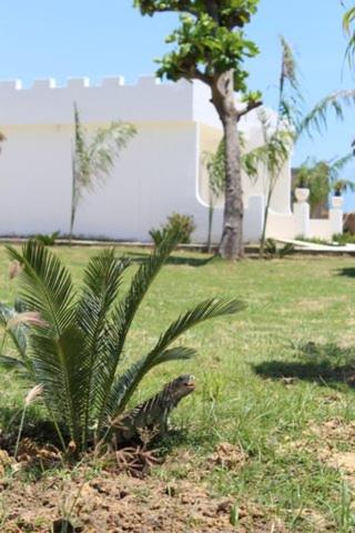 Gallery image of Hotel Castillo del Mar in Ríohacha