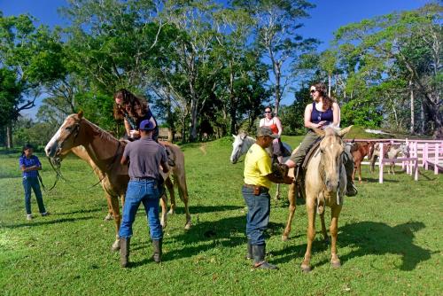 a group of people riding horses in a field at Banana Bank Lodge & Jungle Horseback Adventures in Belmopan
