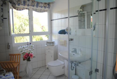 a white bathroom with a toilet and a sink at Fewo Schwalbennest am Meer-exklusiv-eigener Strandzugang in Kühlungsborn