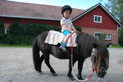 Binatang di the country house atau berdekatan