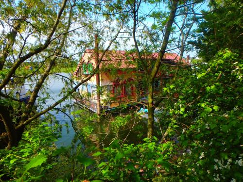 uma casa no meio da água com árvores em Drijfpaleis em Arnhem