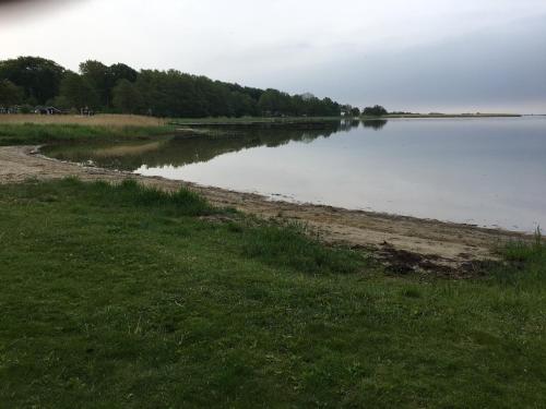 a body of water with a shoreline with grass and trees at Lusthuset in Sölvesborg