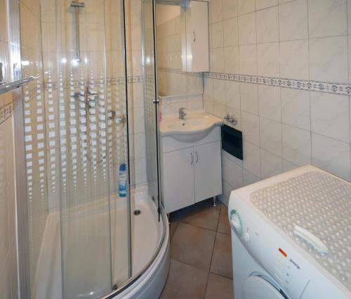 e bagno con doccia, servizi igienici e lavandino. di Apartment Andrej a Fiume (Rijeka)