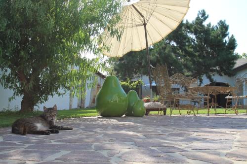 Taman di luar ARKADENHOF zur Puszta GRAF
