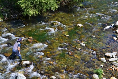 a man standing in a stream holding a fishing line at Hotel Victor in Rialp