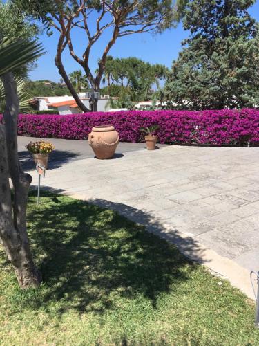 a garden with purple flowers and a sidewalk at Poggio Aragosta Hotel & Spa in Ischia