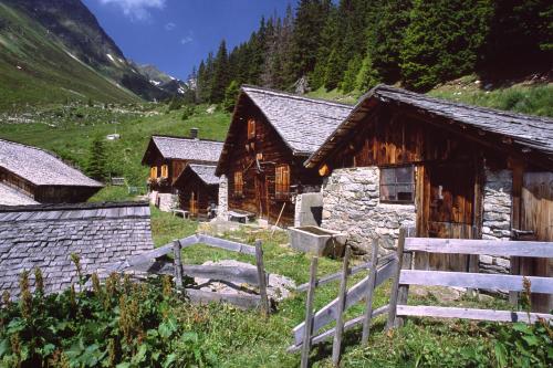 Gallery image of Haus Karin in Sankt Gallenkirch