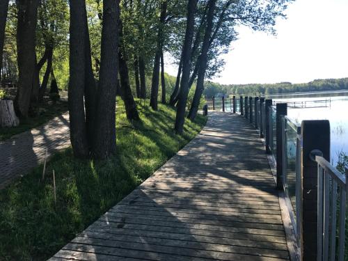 a path next to a body of water with trees at Domki Kaszuby - jezioro las i zoo w Szarlocie in Kościerzyna
