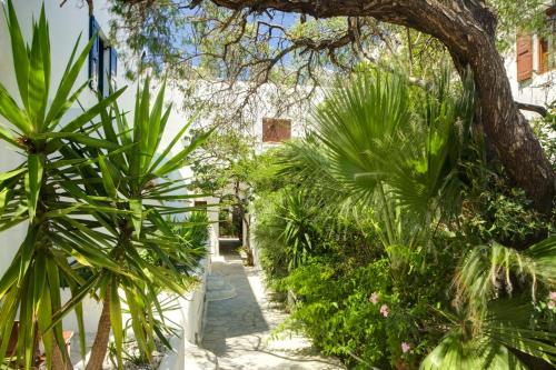 un chemin à travers un jardin planté d'arbres et de plantes dans l'établissement Studios & Suites Rania, à Mykonos