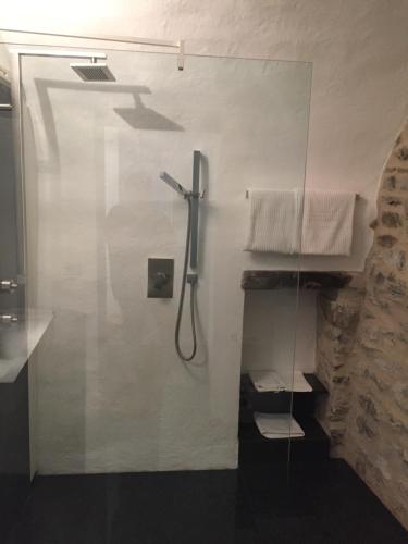 a shower in a bathroom with a glass wall at A Ca Du Barba Ge in Vallebona