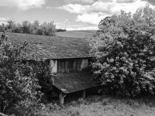 a black and white photo of a bench next to some bushes at ilab rural bed&breakfast in Navia