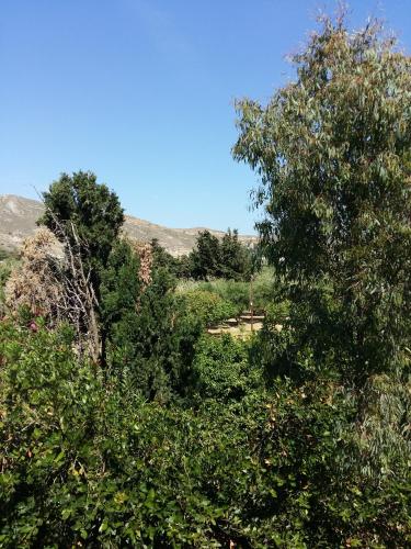 Φωτογραφία από το άλμπουμ του Naxos olive & home στις Εγκαρές