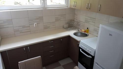 eine kleine Küche mit Spüle und Kühlschrank in der Unterkunft Kostoski Villa in Ohrid