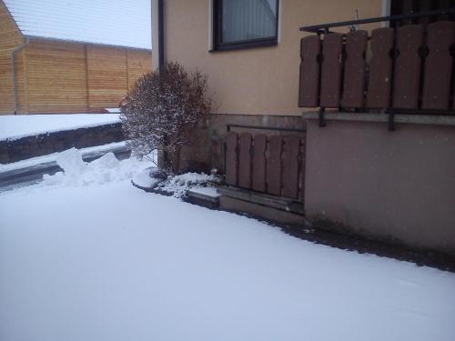 a snow covered yard with a fence and a bush at Ferienwohnung Arnold in Burkardroth