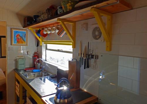 Majoituspaikan Showman's Wagon at Coed Cae keittiö tai keittotila