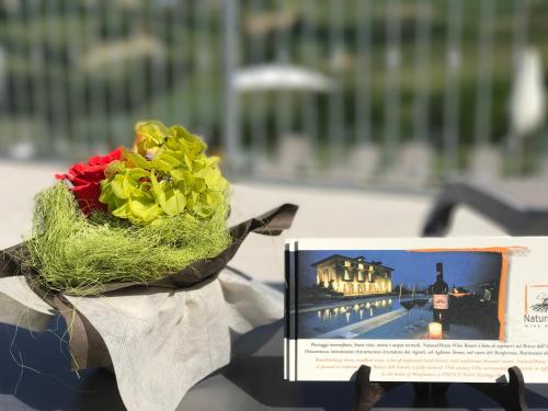 Fotografie z fotogalerie ubytování NaturalMente Wine Resort v destinaci Agliano Terme