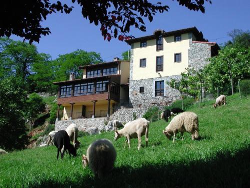 a herd of sheep standing on top of a lush green hillside at Hotel Posada del Valle in Collía