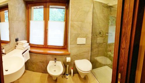 a bathroom with a toilet and a sink and a shower at Chalet Alpina Hotel & Apartments in La Thuile