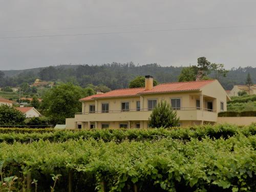 a house in the middle of a field of grapes at Casa Vilarelho in Caminha