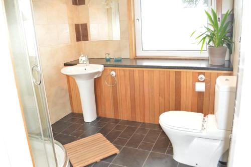 a bathroom with a toilet and a sink at Hazel Bank Villa Apartment in Dunoon