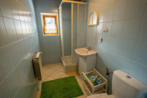 un baño con inodoro y lavabo en Kwatery Prywatne-Romanówka, en Zakopane