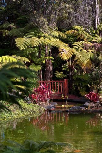 a red bench in a garden next to a pond at Chalet Kilauea in Volcano