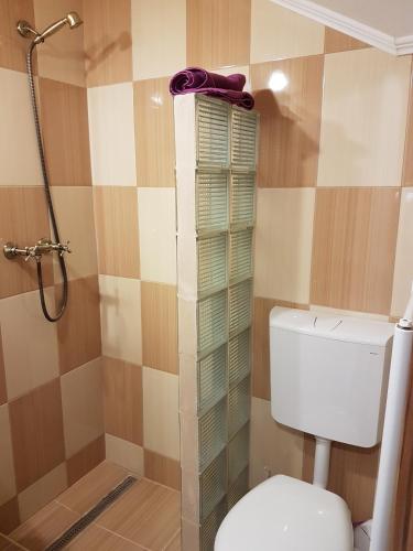 a bathroom with a toilet and a shower at Casa Rezidentiala Aria in Cluj-Napoca