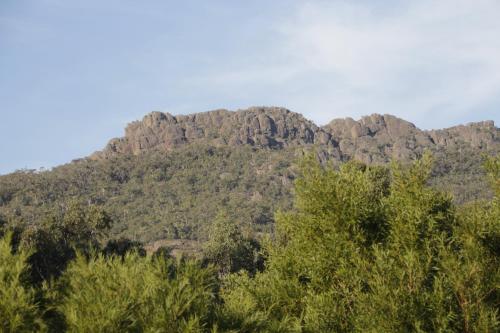 a mountain with trees in front of it at Dacelo in Halls Gap