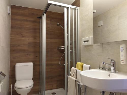 a bathroom with a shower and a toilet and a sink at Hotel Alpenblick in Zeneggen