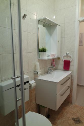 a bathroom with a sink and a toilet and a mirror at Apartments Jadranka in Novalja