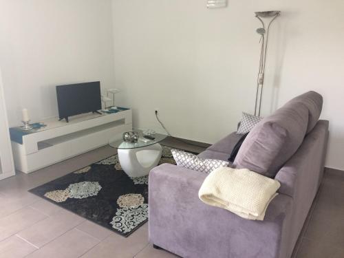 a living room with a couch and a tv at Vale dos Cocos in Horta
